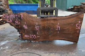 061819-07 Oregon Black Walnut Slab