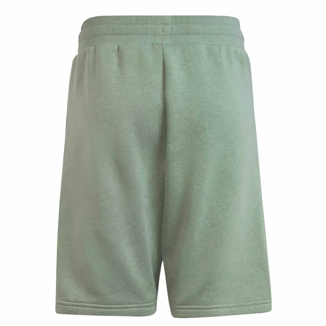 adidas - Kids' (Junior) Adicolor Shorts (IC3174)