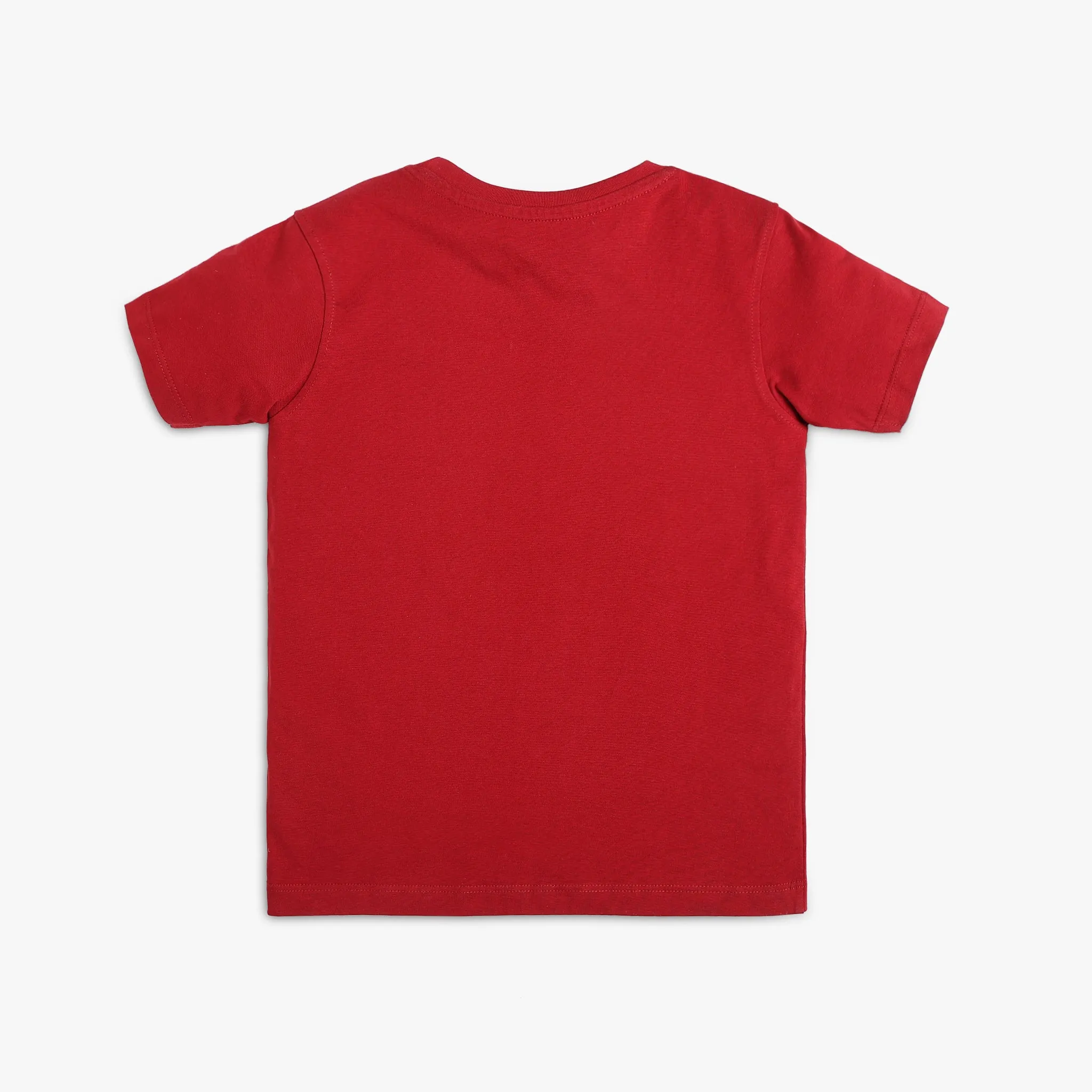 Boy's Regular Fit Graphic T-Shirt