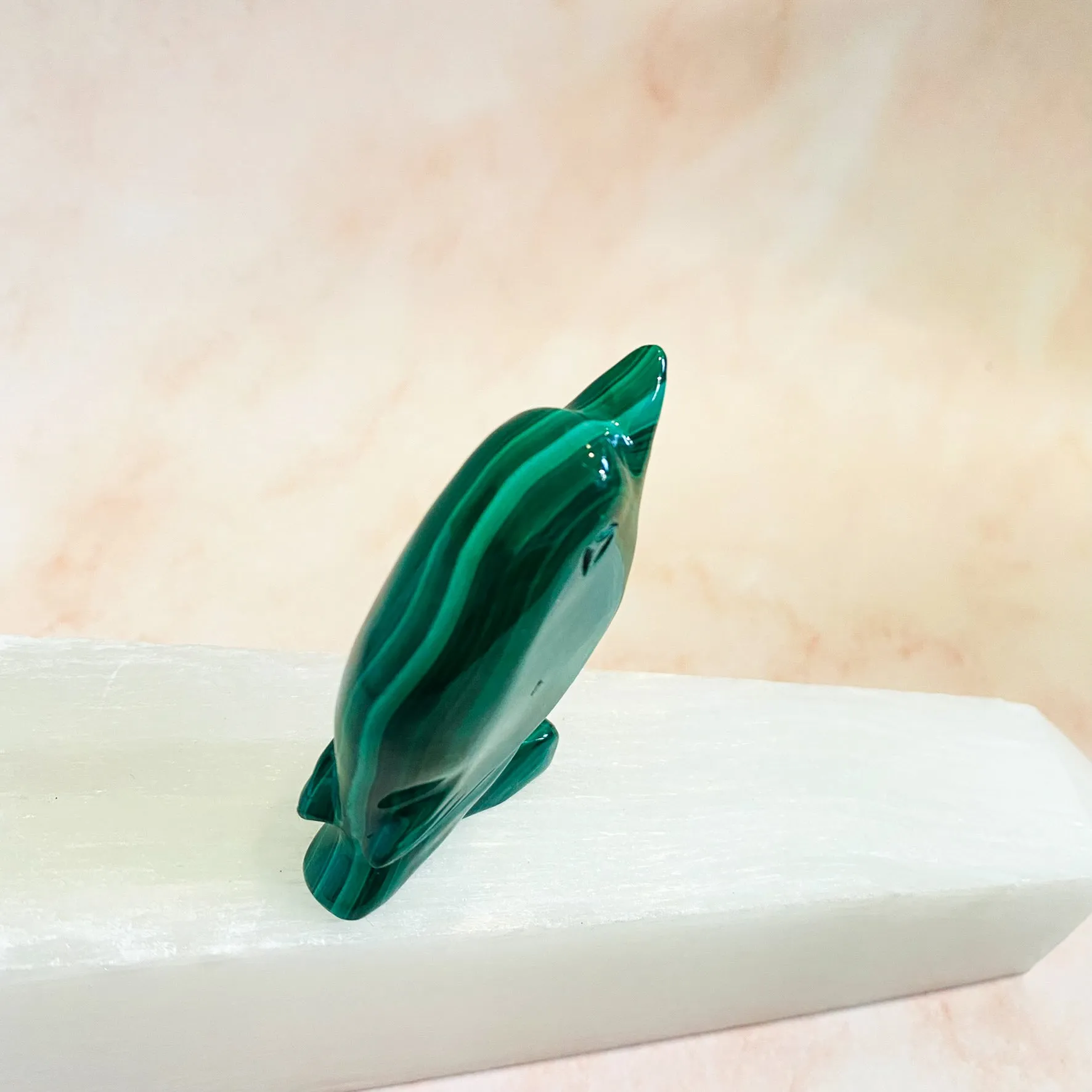 Malachite Dolphin Carvings, 2.3" Dolphin Crystal, Stone of Transformation, Crystal Carvings, Hand Carved Dolphin Decor