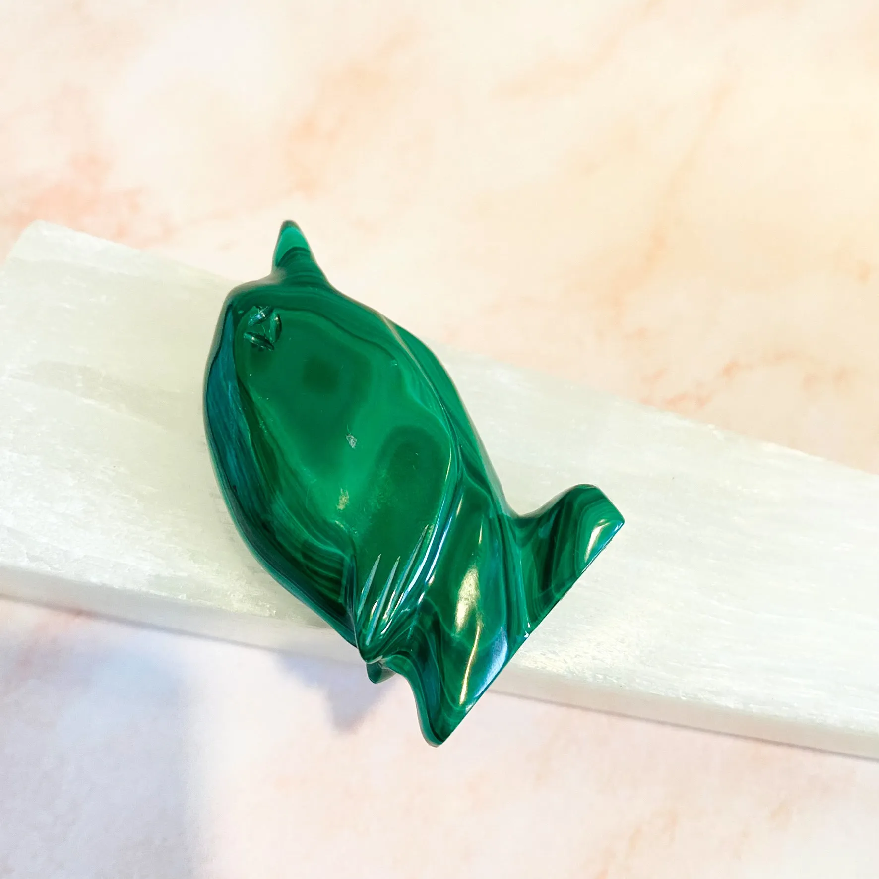 Malachite Dolphin Carvings, 2.3" Dolphin Crystal, Stone of Transformation, Crystal Carvings, Hand Carved Dolphin Decor