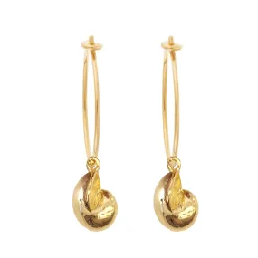 Nautilus Shell Hoops, Gold (pair)