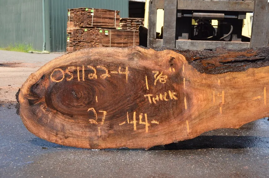 Oregon Black Walnut Slab 051122-04