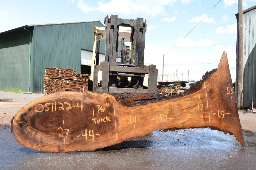 Oregon Black Walnut Slab 051122-04