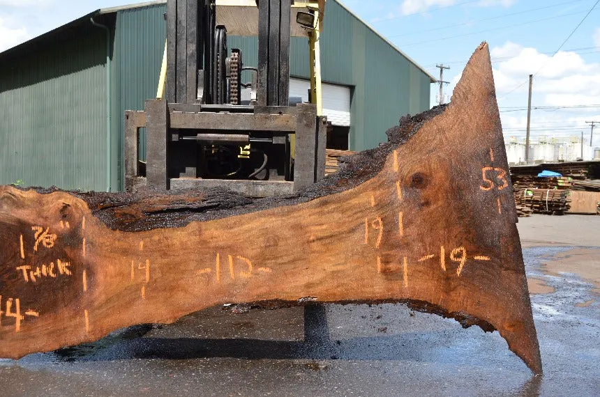 Oregon Black Walnut Slab 051122-04